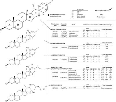 A High-Throughput Extraction and Analysis Method for Steroidal <mark class="highlighted">Glycoalkaloids</mark> in Tomato
